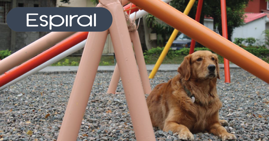 Espiral