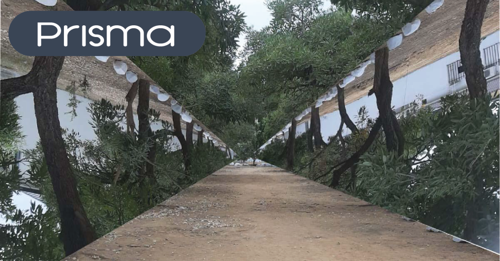 Prisma